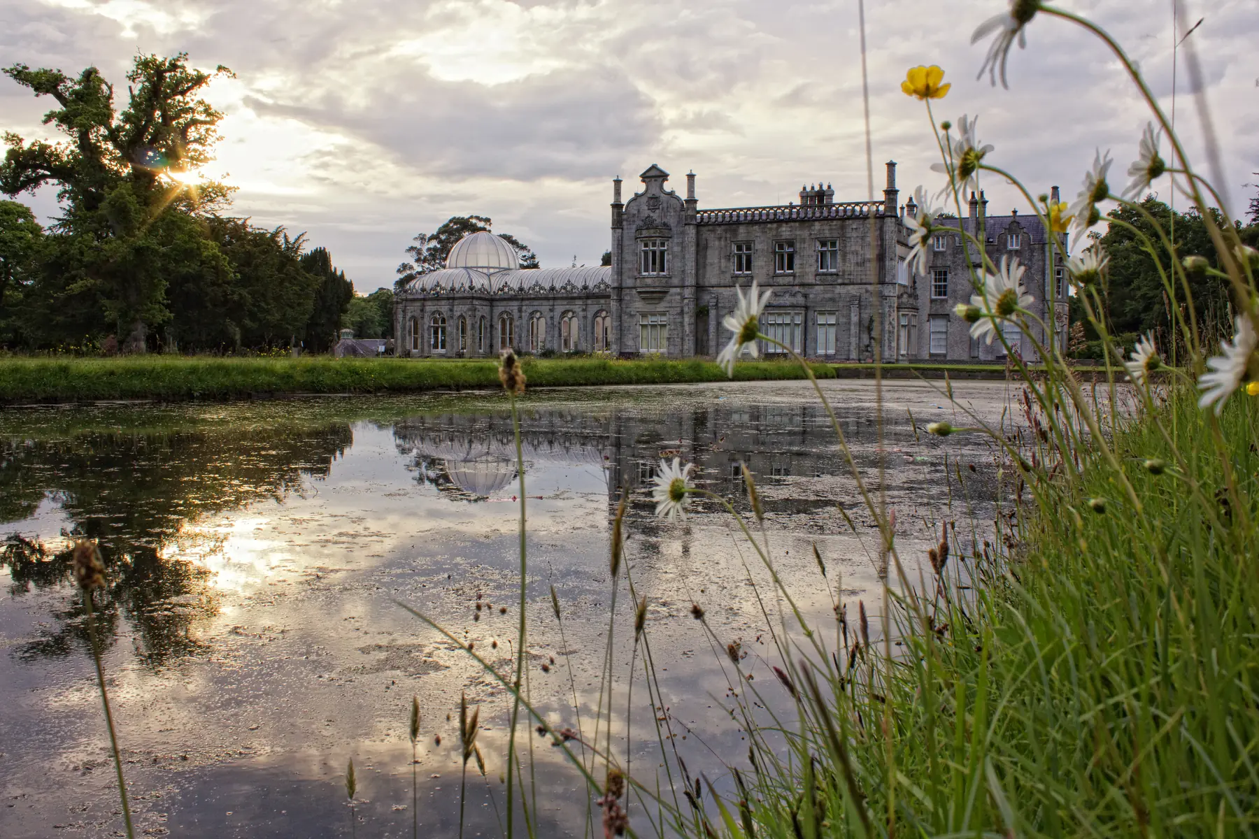 Killruddery House reflected in its pond and framed by wildflowers